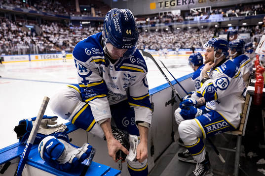 Leksands Carter Ashton