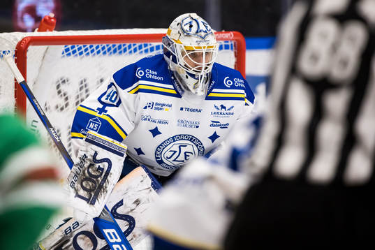 Leksands målvakt Mantas Armalis