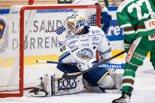 Leksands målvakt Mantas Armalis