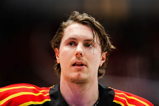 Brynäs Nick Olesen