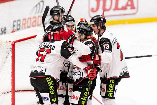 Malmö Redhawks spelare jublar