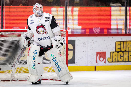 Malmö Redhawks målvakt Adam Werner deppar