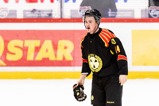 Brynäs Alexander Ljungkrantz blöder