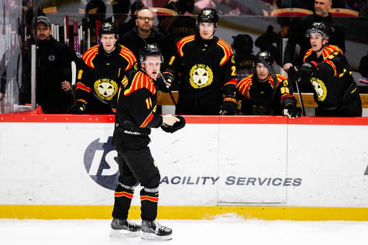 Brynäs Alexander Ljungkrantz blöder