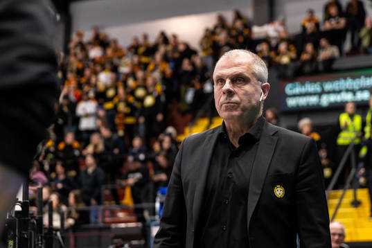 Brynäs assisterande tränare Anders Carlsson