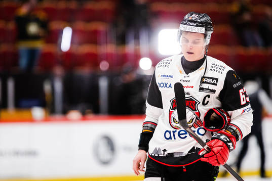 Malmö Redhawks Fredrik Händemark deppar