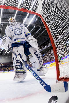 Leksands målvakt Mantas Armalis deppar
