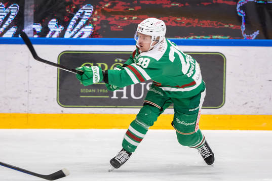 under åttondelsfinal tre i SHL mellan Rögle och Leksand