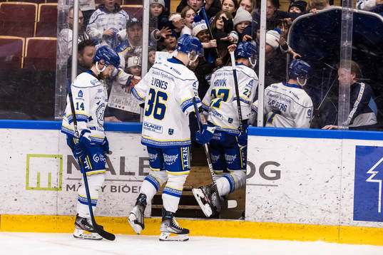 Leksands spelarna deppar