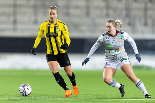 Häckens Aivi Luik