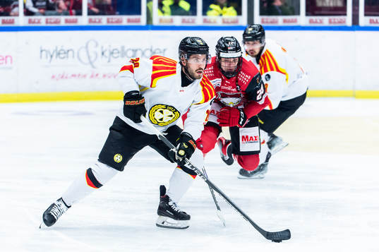 Brynäs Oula Palve och Malmö Redhawks Anton Wahlberg