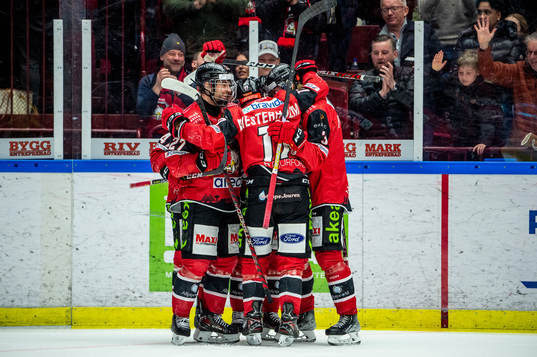 Malmö Redhawks spelare jublar
