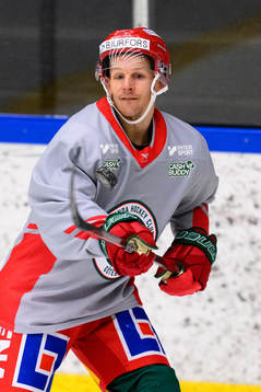 Max Friberg