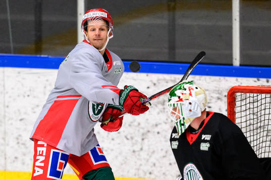 Max Friberg