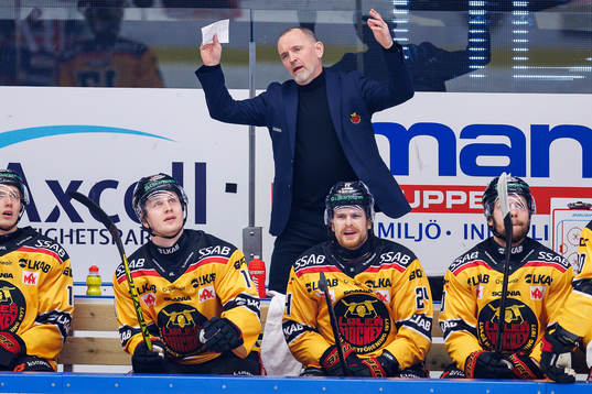 Luleås tränare Thomas Berglund