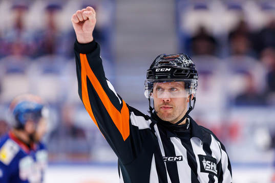 Domare Johan Magnusson