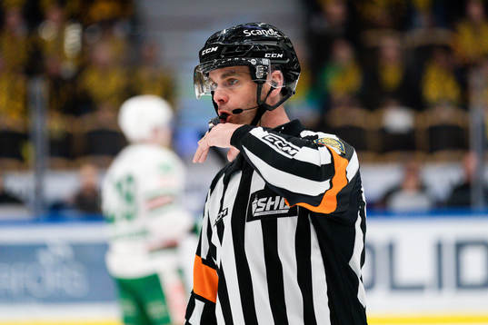 Domare Richard Magnusson