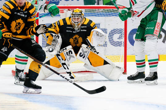Skellefteå AIKs målvakt Linus Söderström
