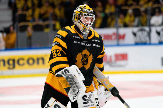 Skellefteå AIKs målvakt Linus Söderström