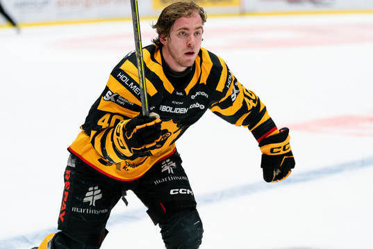 Skellefteå AIKs Andreas Wingerli