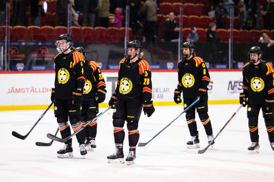 Brynäs spelare deppar