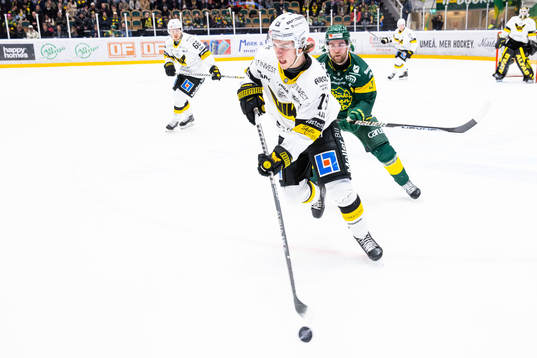 Västerås Gabriel Kangas