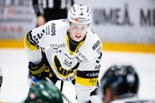 Västerås Ludvig Östman