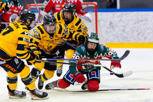 Skellefteås Moa Viklund och Frölundas Felicia Lindner