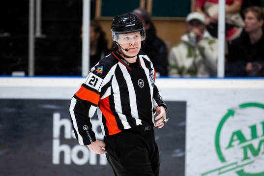 Domare Anders Sandahl