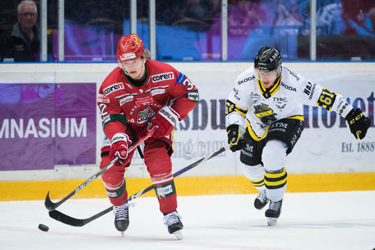 Modos Theodor Niederbach och AIKs Adam Rockwood