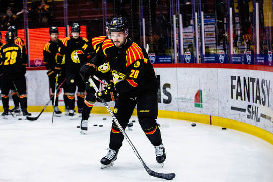 Brynäs Oula Palve