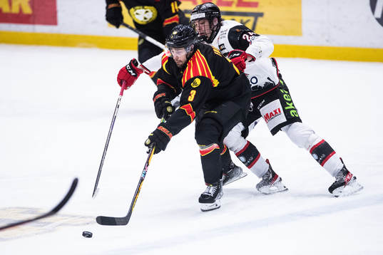 Brynäs Niklas Friman och Malmö Redhawks Anton Wahlberg