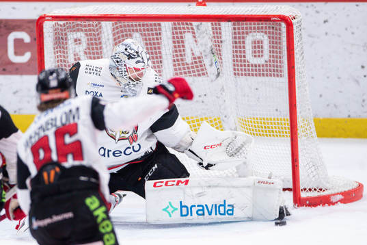 Malmö Redhawks målvakt Adam Werner