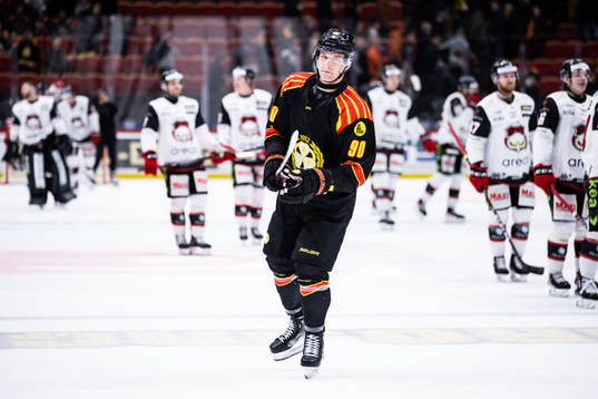Brynäs David Sklenicka deppar
