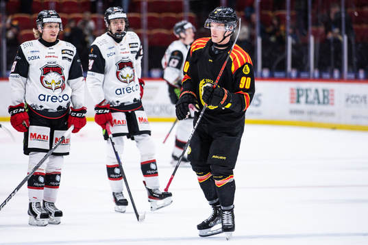 Brynäs David Sklenicka deppar