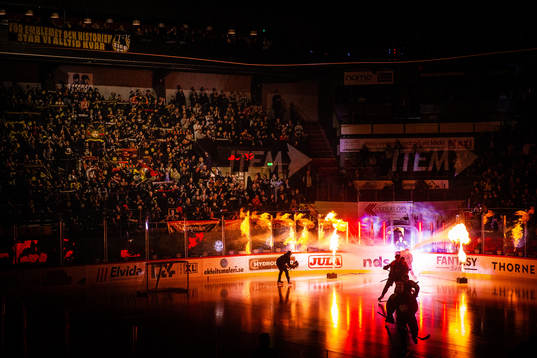 Monitor ERP Arena