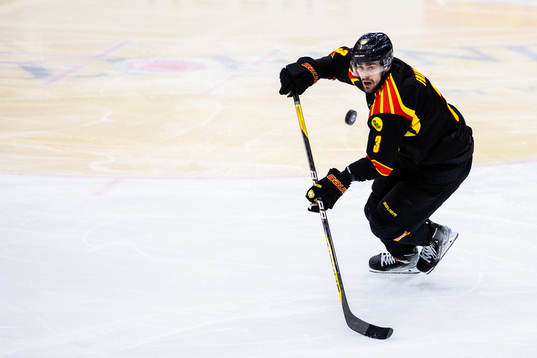 Brynäs Niklas Friman