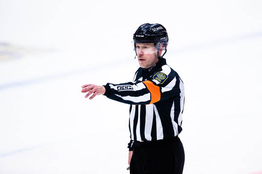 Domare Mikael Nord