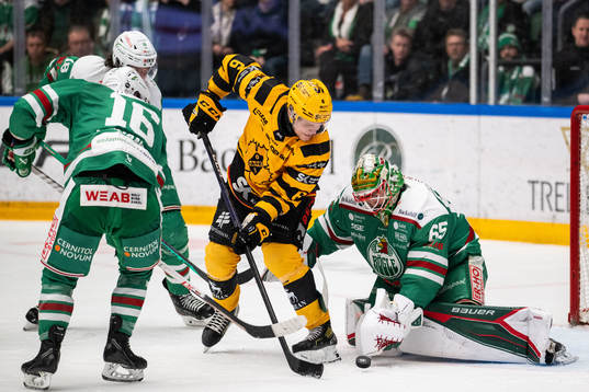 Skellefteås Måns Forsfjäll och Rögles målvakt