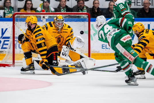 Skellefteås målvakt Linus Söderström