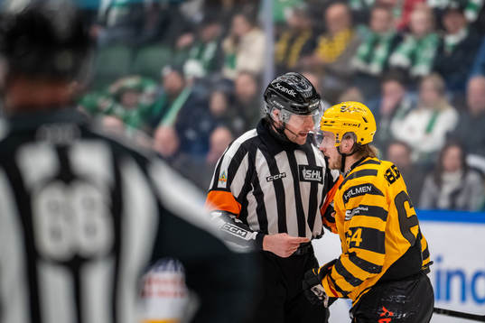 Domare Mikael Sjöqvist och Skellefteås Jonathan Pudas