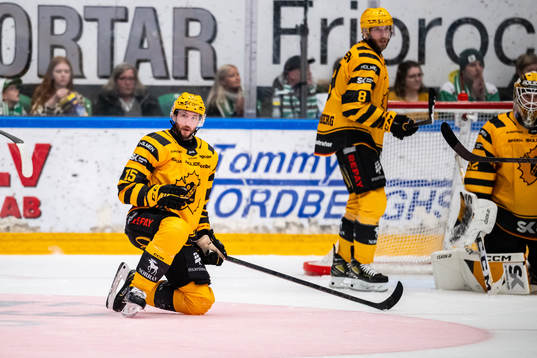 Skellefteås Melker Karlsson  deppar