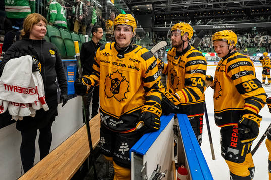 Skellefteås Jonathan Johnsson, Tom Kühnhackl, Rickard