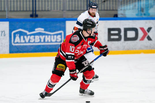 Piteås Ludwig Stenvall