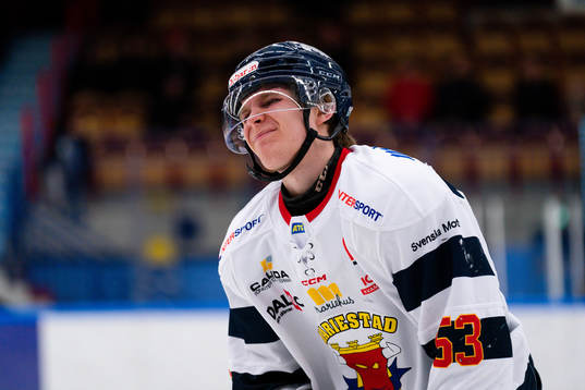 Mariestads Ludwig Wistén