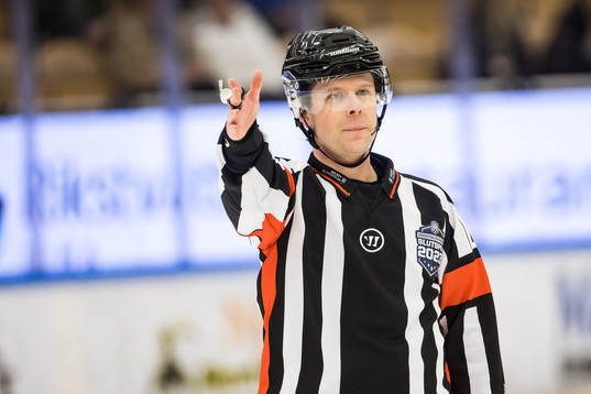 Domare Filip Sandstedt