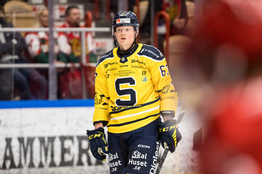 Södertäljes Julius Bergman