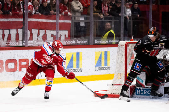 Timrås Robin Hanzl