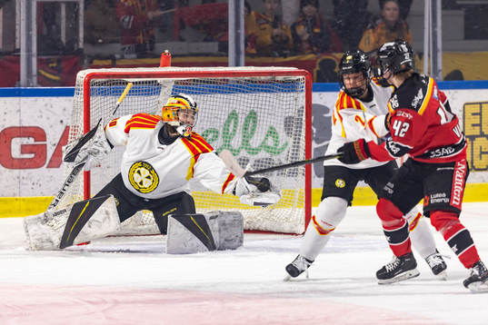 Brynäs målvakt Felicia Frank  plockar pucken