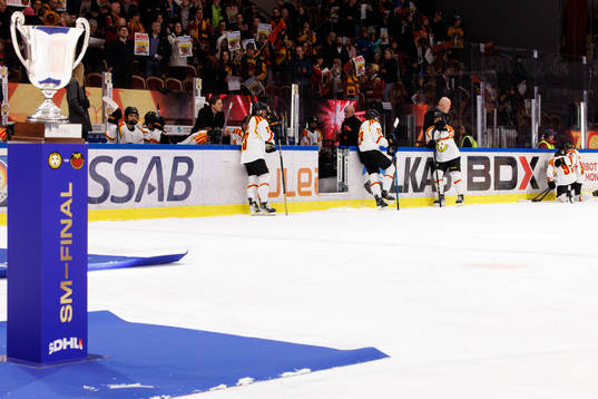 Brynäs spelare deppar